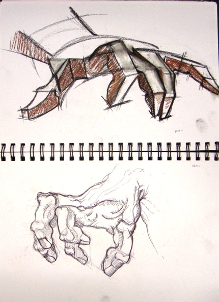 Nov 15 hand studies
