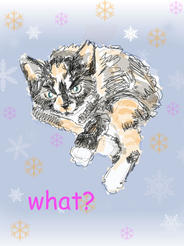 Sparta snowflake what