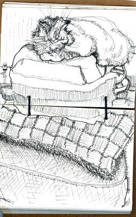 04-cat-on-a-rucksack