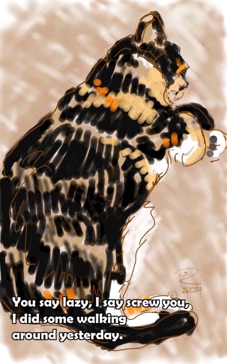 that's not an exercise regime, it's a junta copy