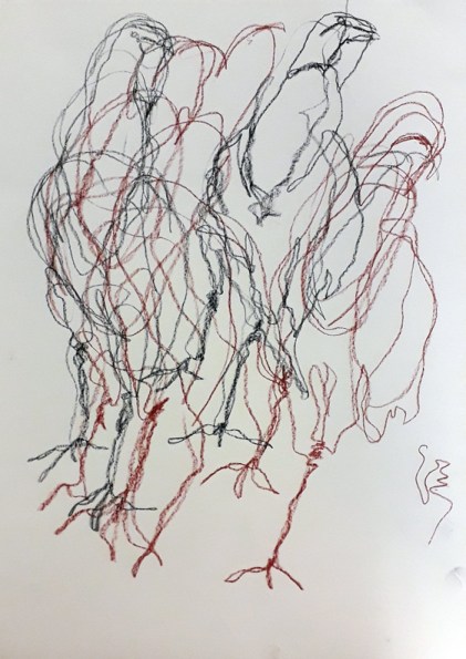 blind contour