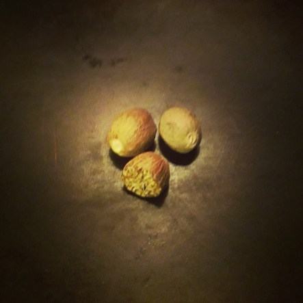nutmeg