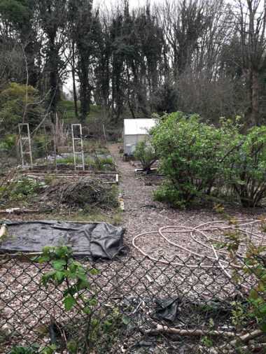 allotment 3